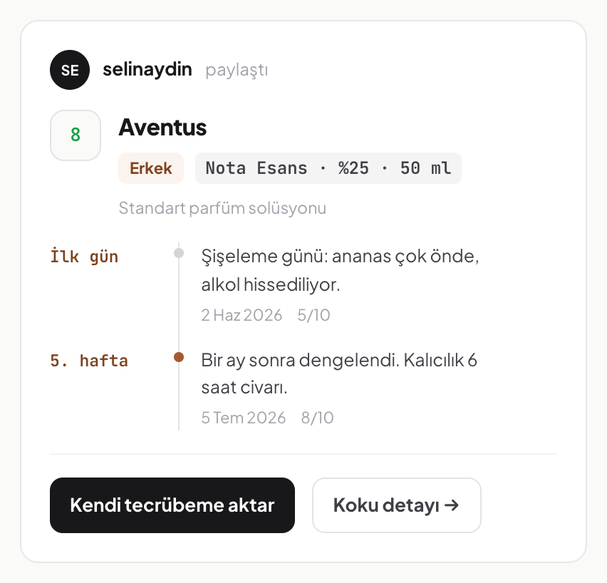 Takip akışı: takip edilen kişinin yeni paylaştığı tecrübe